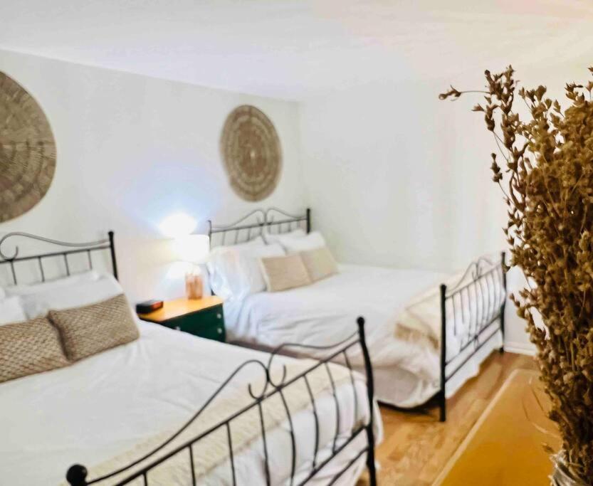 P Tit Boreal- 2 Minutes De La Plage Memphremagog Apartment ภายนอก รูปภาพ