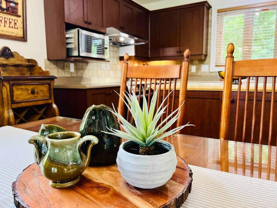 P Tit Boreal- 2 Minutes De La Plage Memphremagog Apartment ภายนอก รูปภาพ